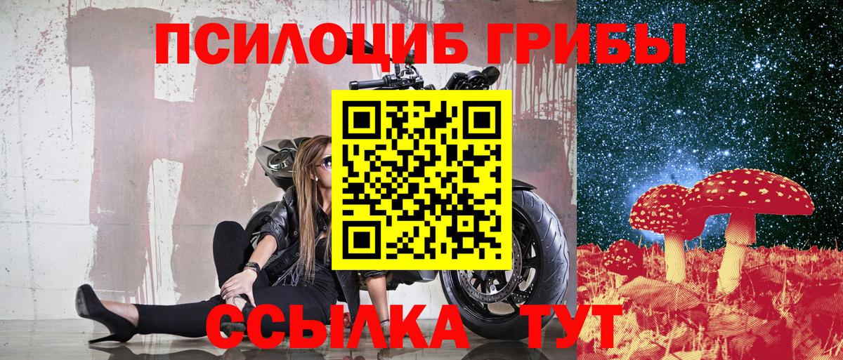 Ангарск  Галлюциногенные грибы Magic Shrooms  Вход с VPN 