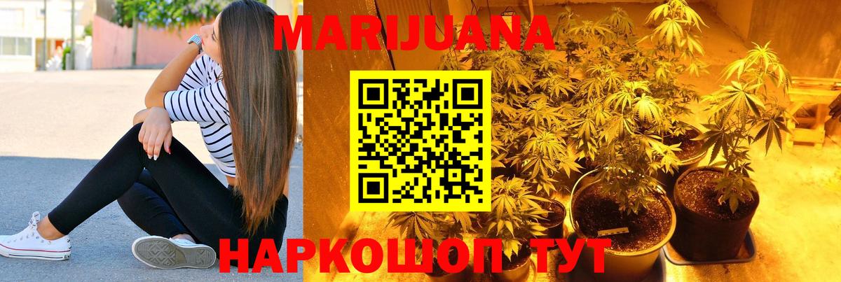 Бошки Шишки семена Ангарск